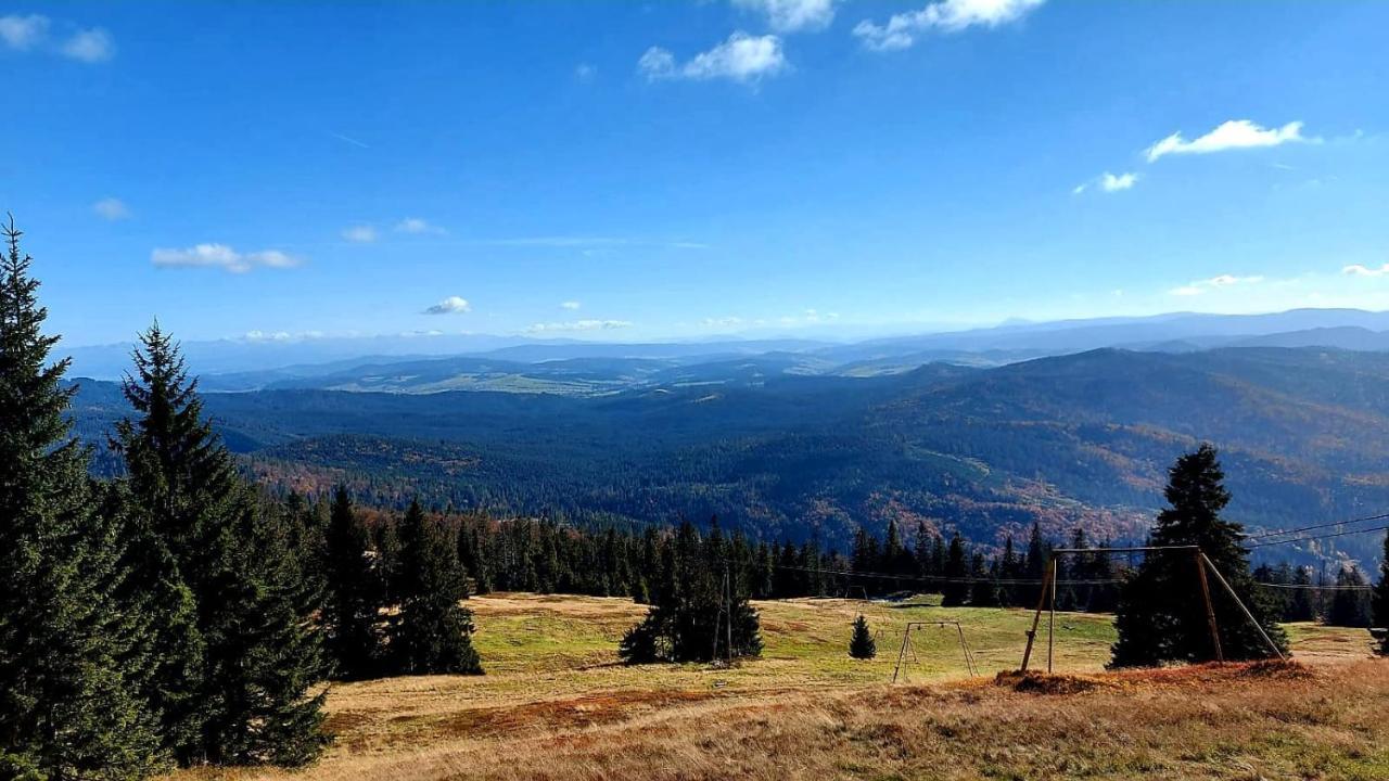 Pokoje Pod Szyndzielnia Bielsko-Biala Luaran gambar