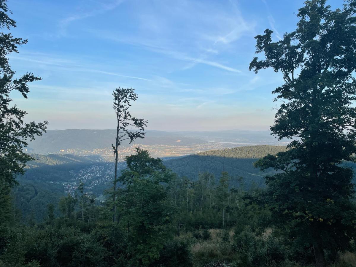 Pokoje Pod Szyndzielnia Bielsko-Biala Luaran gambar